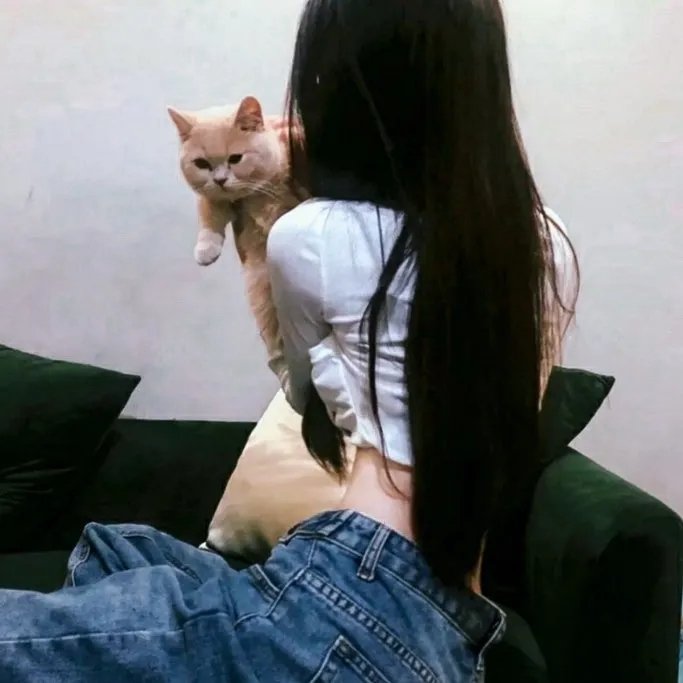 爸爸当家第三季